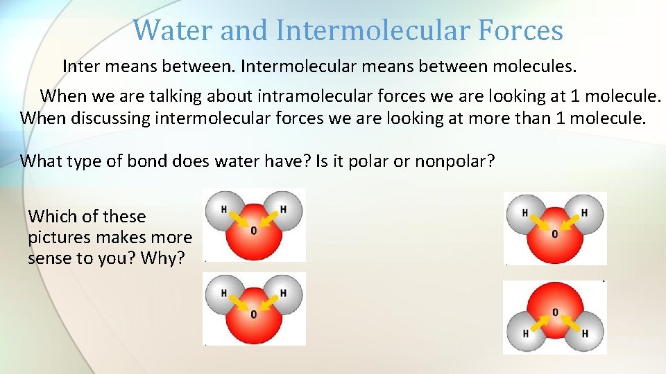 Water and Intermolecular Forces Inter means between. Intermolecular means between molecules. When we are