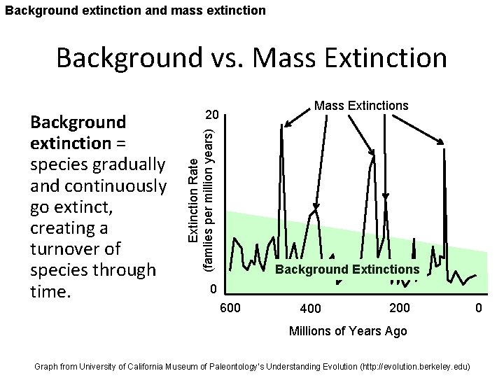 Background extinction and mass extinction Background vs. Mass Extinction Rate (famlies per million years)