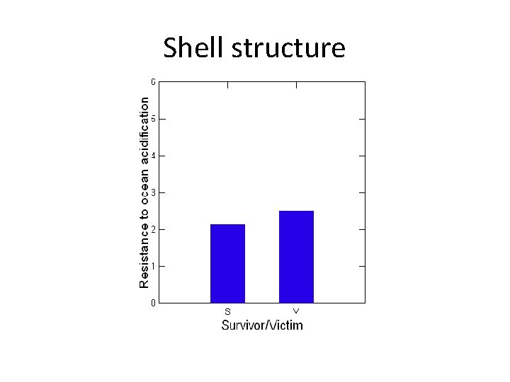 Shell structure 