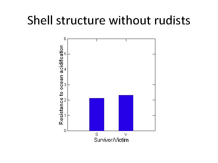 Shell structure without rudists 