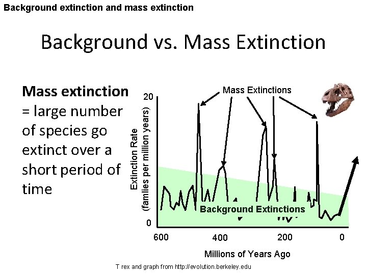 Background extinction and mass extinction Background vs. Mass Extinctions 20 Extinction Rate (famlies per