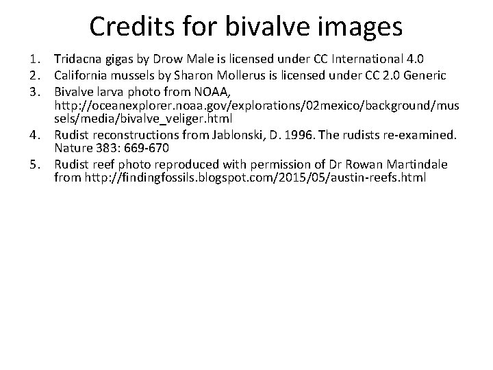 Credits for bivalve images 1. Tridacna gigas by Drow Male is licensed under CC