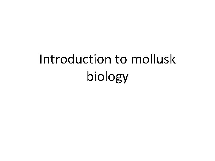 Introduction to mollusk biology 