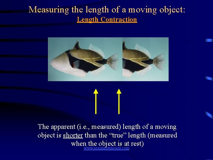 Measuring the length of a moving object: Length Contraction The apparent (i. e. ,