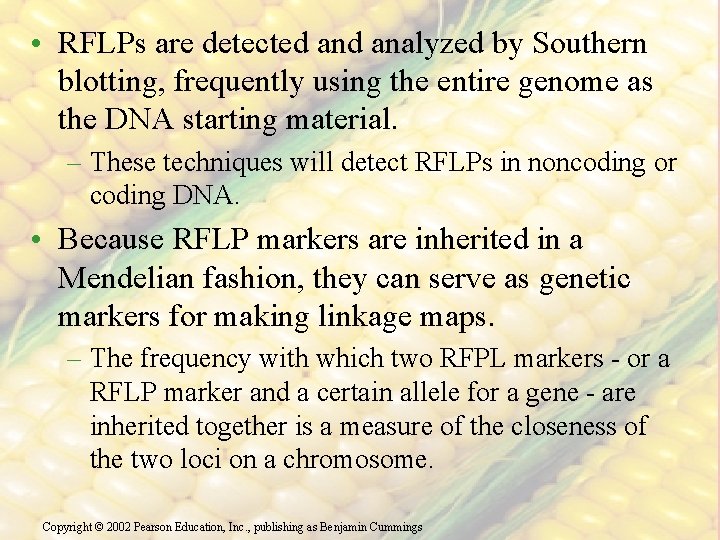  • RFLPs are detected analyzed by Southern blotting, frequently using the entire genome