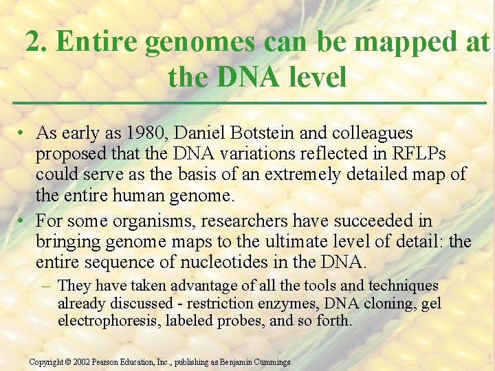 2. Entire genomes can be mapped at the DNA level • As early as