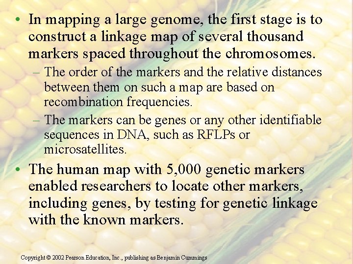 • In mapping a large genome, the first stage is to construct a