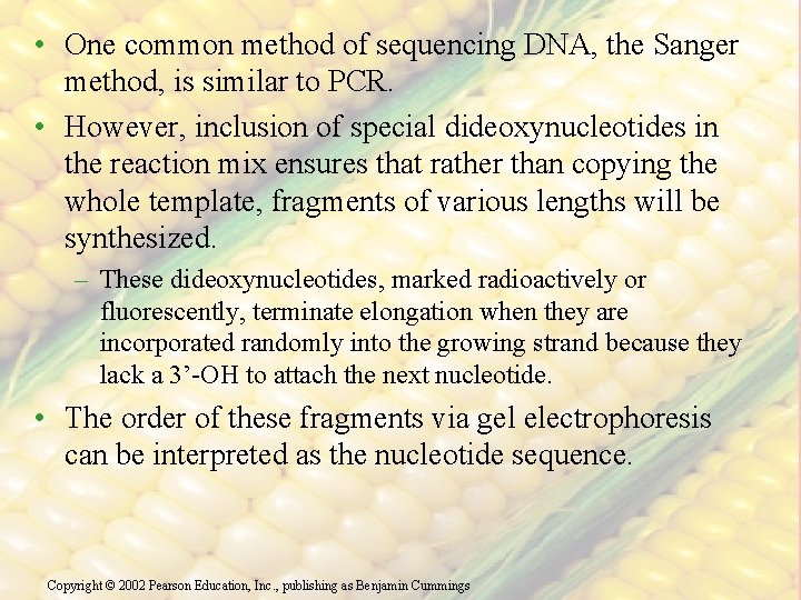  • One common method of sequencing DNA, the Sanger method, is similar to