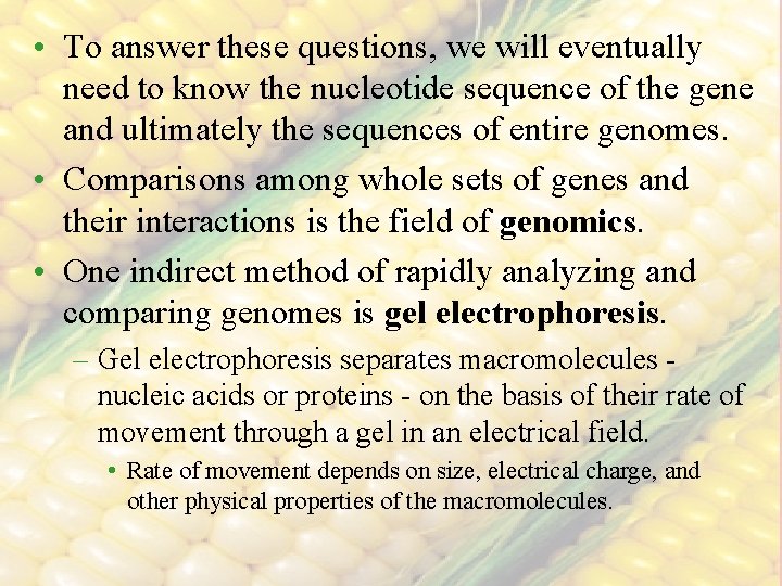  • To answer these questions, we will eventually need to know the nucleotide
