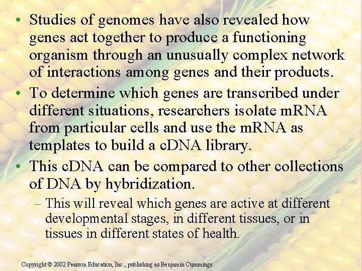  • Studies of genomes have also revealed how genes act together to produce