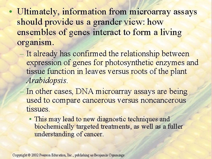  • Ultimately, information from microarray assays should provide us a grander view: how