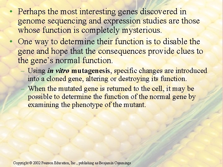  • Perhaps the most interesting genes discovered in genome sequencing and expression studies