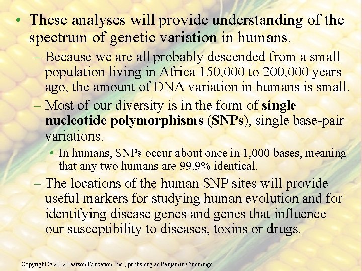  • These analyses will provide understanding of the spectrum of genetic variation in