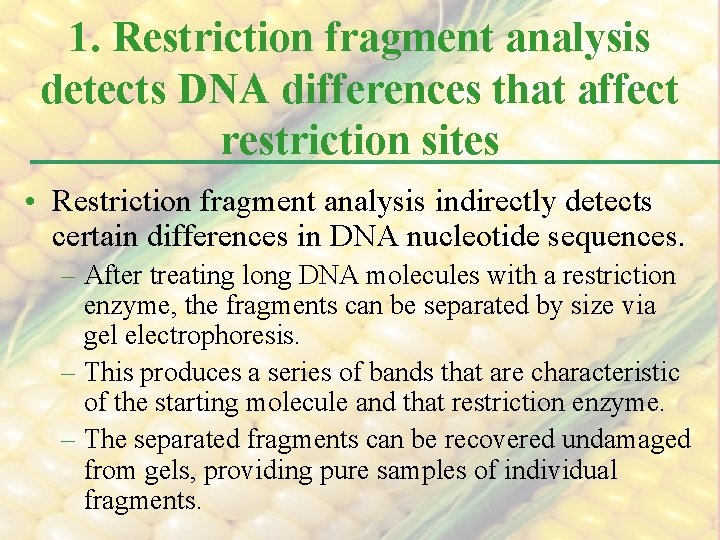 1. Restriction fragment analysis detects DNA differences that affect restriction sites • Restriction fragment