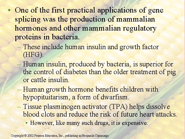  • One of the first practical applications of gene splicing was the production