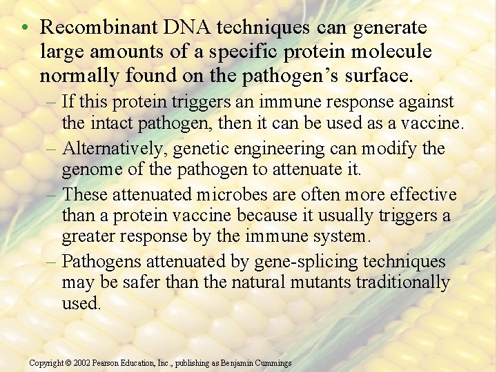  • Recombinant DNA techniques can generate large amounts of a specific protein molecule