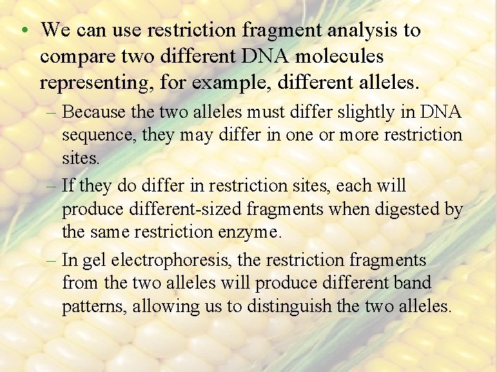 • We can use restriction fragment analysis to compare two different DNA molecules