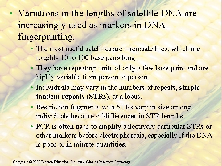  • Variations in the lengths of satellite DNA are increasingly used as markers