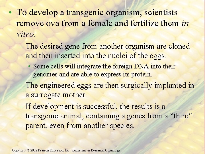  • To develop a transgenic organism, scientists remove ova from a female and