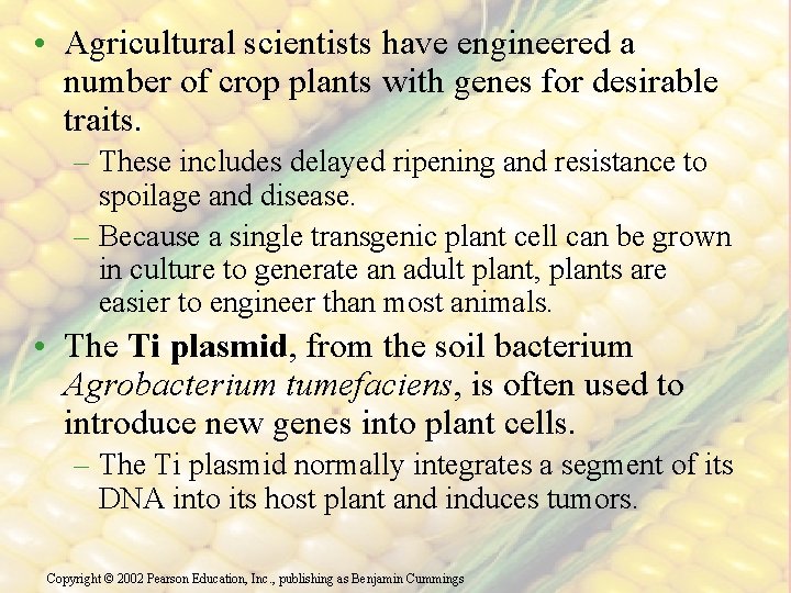  • Agricultural scientists have engineered a number of crop plants with genes for