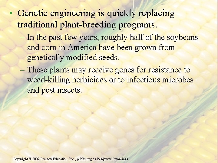  • Genetic engineering is quickly replacing traditional plant-breeding programs. – In the past
