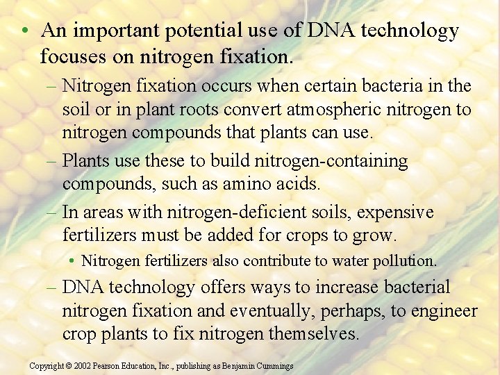  • An important potential use of DNA technology focuses on nitrogen fixation. –