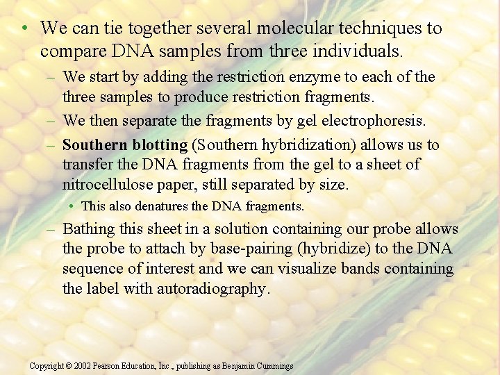  • We can tie together several molecular techniques to compare DNA samples from