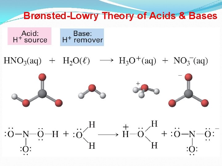 Brønsted-Lowry Theory of Acids & Bases 