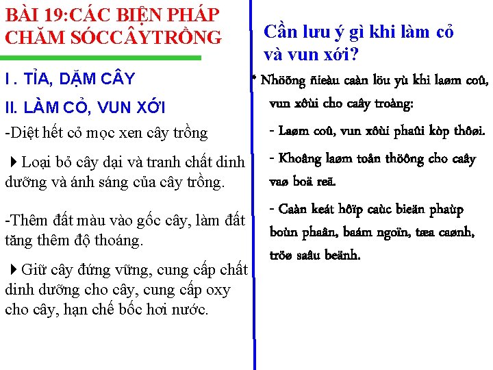 BÀI 19: CÁC BIỆN PHÁP CHĂM SÓCC YTRỒNG Cần lưu ý gì khi làm