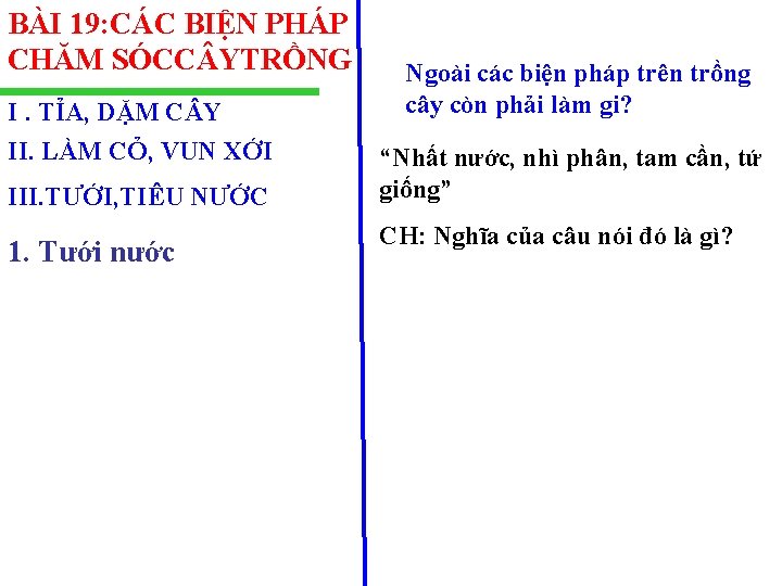 BÀI 19: CÁC BIỆN PHÁP CHĂM SÓCC YTRỒNG I. TỈA, DẶM C Y II.