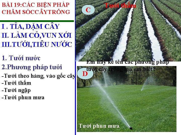 BÀI 19: CÁC BIỆN PHÁP CHĂM SÓCC YTRỒNG C Tưới thấm I. TỈA, DẶM