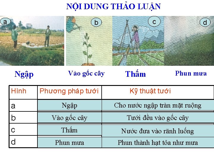 NỘI DUNG THẢO LUẬN a c b Ngập Hình a b c d Vào