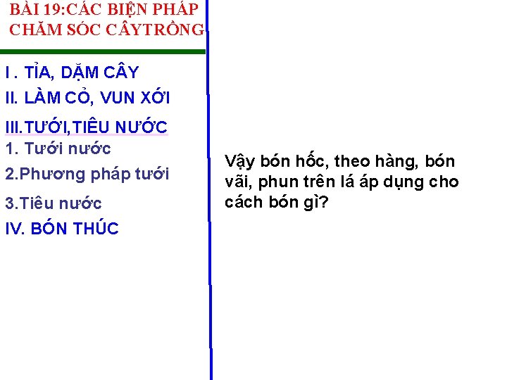 BÀI 19: CÁC BIỆN PHÁP CHĂM SÓC C YTRỒNG I. TỈA, DẶM C Y