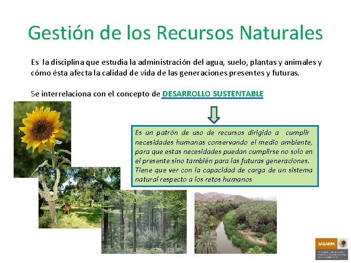 Gestión de los Recursos Naturales Es la disciplina que estudia la administración del agua,