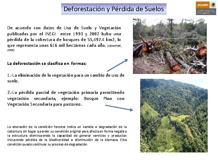 Deforestación y Pérdida de Suelos De acuerdo con datos de Uso de Suelo y