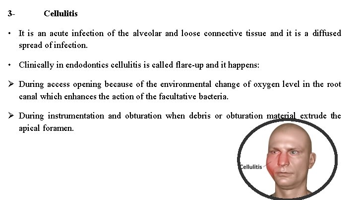 3 - Cellulitis • It is an acute infection of the alveolar and loose