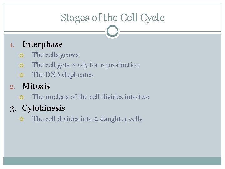Stages of the Cell Cycle 1. Interphase The cells grows The cell gets ready