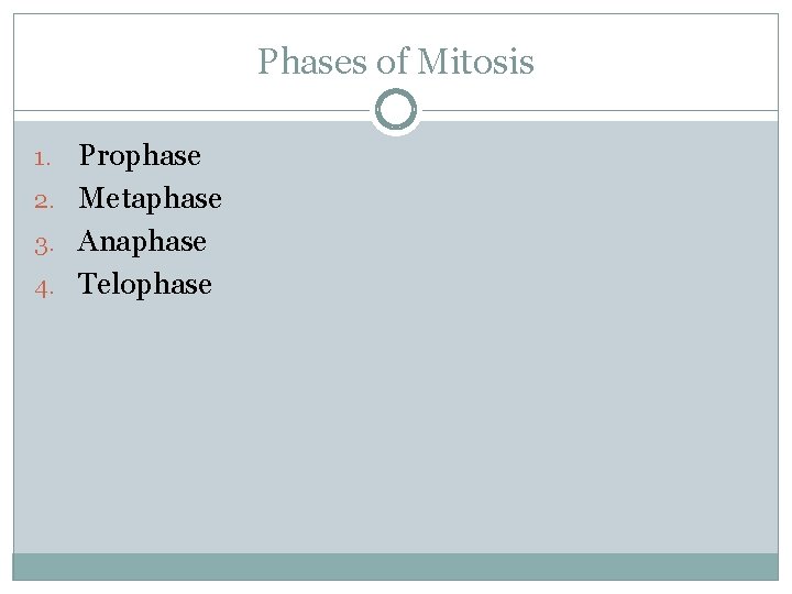 Phases of Mitosis Prophase 2. Metaphase 3. Anaphase 4. Telophase 1. 