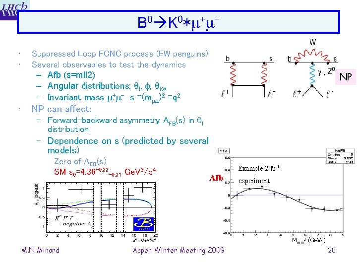 B 0 K 0* + • • • Suppressed Loop FCNC process (EW penguins)