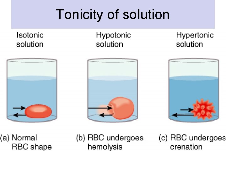Tonicity of solution 