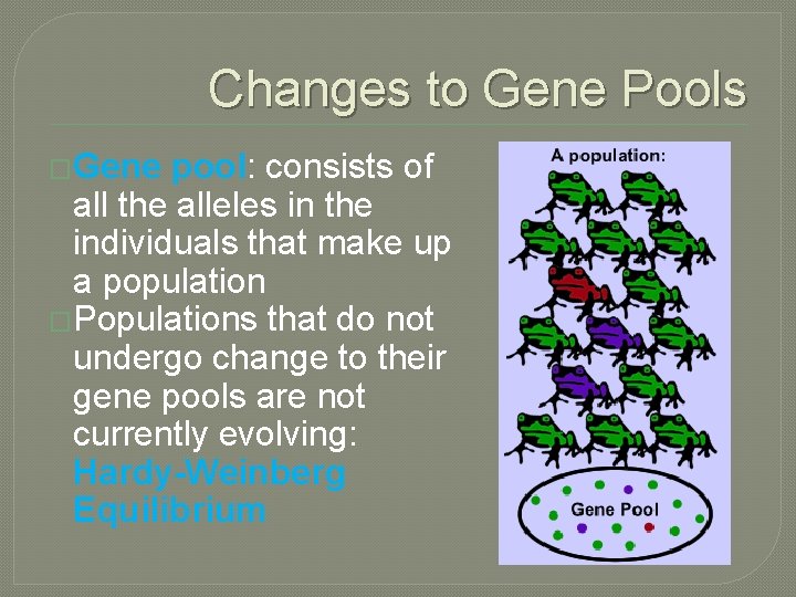 Changes to Gene Pools �Gene pool: consists of all the alleles in the individuals