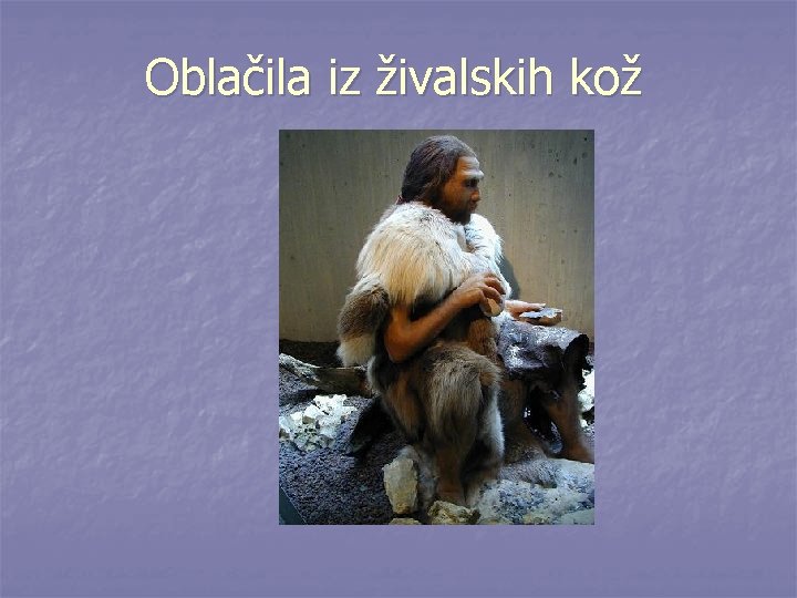 Oblačila iz živalskih kož 