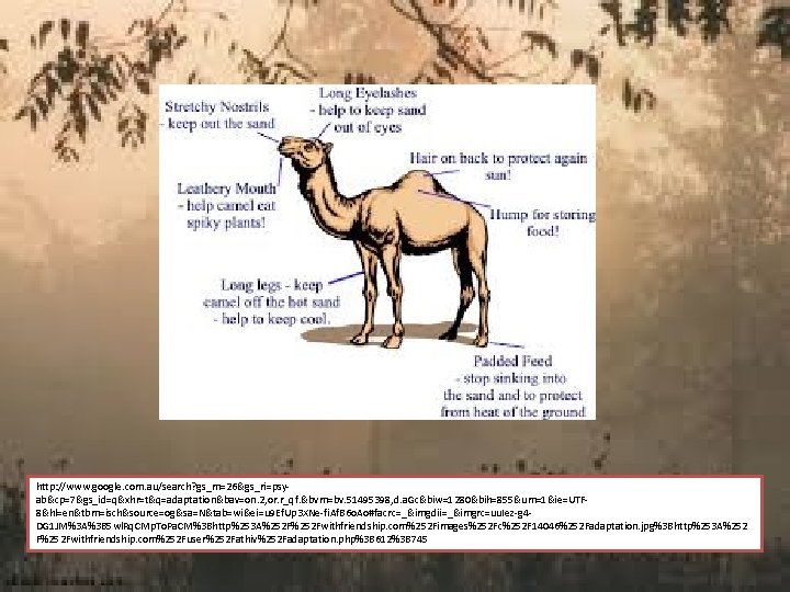 http: //www. google. com. au/search? gs_rn=26&gs_ri=psyab&cp=7&gs_id=q&xhr=t&q=adaptation&bav=on. 2, or. r_qf. &bvm=bv. 51495398, d. a. Gc&biw=1280&bih=855&um=1&ie=UTF