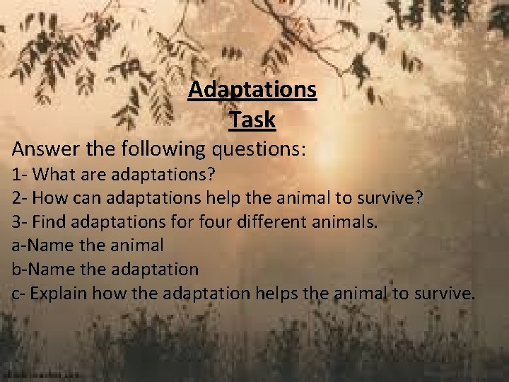 Adaptations Task Answer the following questions: 1 - What are adaptations? 2 - How