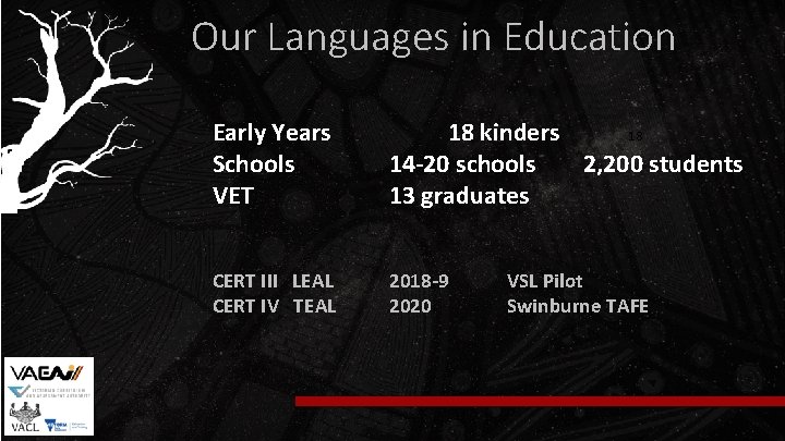 Our Languages in Education Early Years Schools VET 18 kinders 18 14 -20 schools