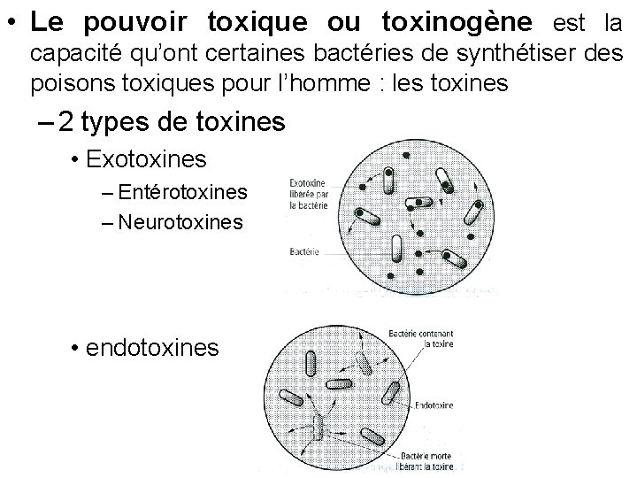  • Le pouvoir toxique ou toxinogène est la capacité qu’ont certaines bactéries de