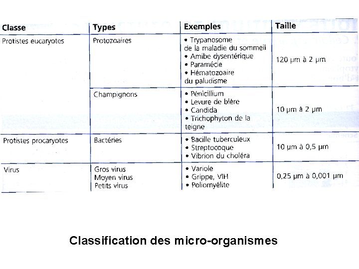 Classification des micro-organismes 