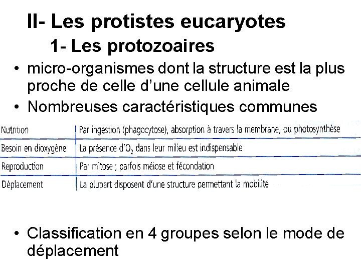 II- Les protistes eucaryotes 1 - Les protozoaires • micro-organismes dont la structure est