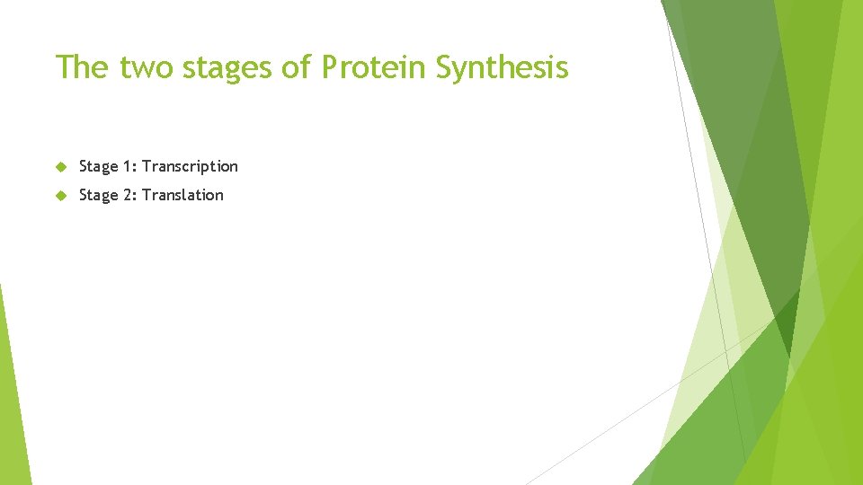 The two stages of Protein Synthesis Stage 1: Transcription Stage 2: Translation 