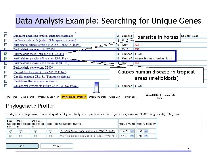 Data Analysis Example: Searching for Unique Genes parasite in horses Causes human disease in